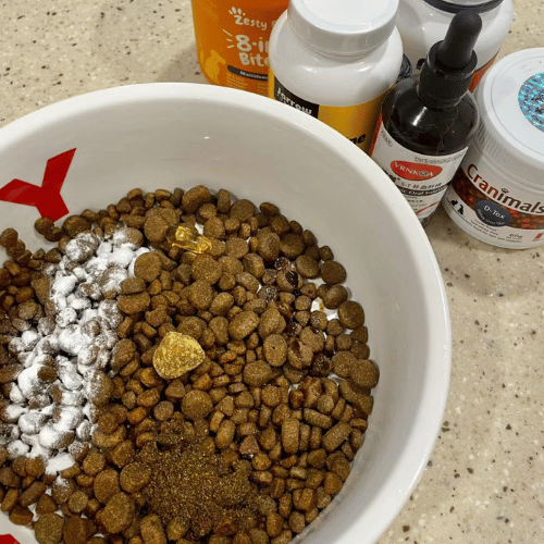 Bowl of dog food mixed with supplements, showcasing a balanced meal for pet health.