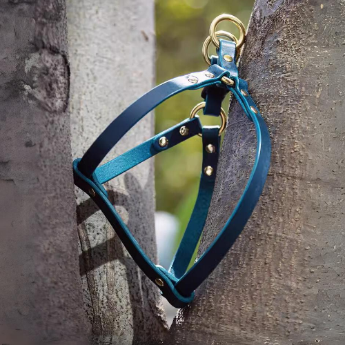 Outdoor Shooting for Tailored Nappa Leather Harness Walk Set: Discover the versatility of our harness set as it gracefully adorns the space between trees in our outdoor photo shoot, showcasing its seamless integration with nature.