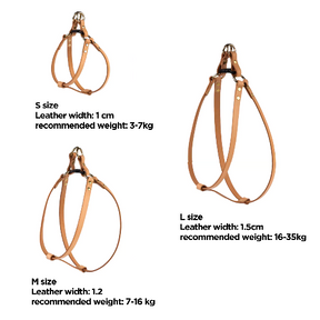 Three Sizes Available for Tailored Nappa Leather Harness: Choose from three carefully tailored sizes to ensure the perfect fit for your pet, guaranteeing both comfort and security during walks.