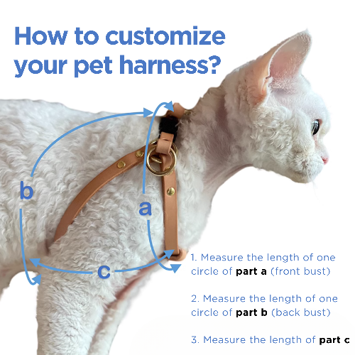 Instruction Guide for Customized Tailored Nappa Leather Harness Walk Set Measurement: Learn how to measure and provide detailed pet size information for a customized harness set, featuring a white Devon Rex as the model for reference.