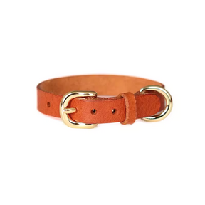 Brown Smooth Calfskin Leather Buckle Cat Collar with D-Shape Buckle - Premium Quality
