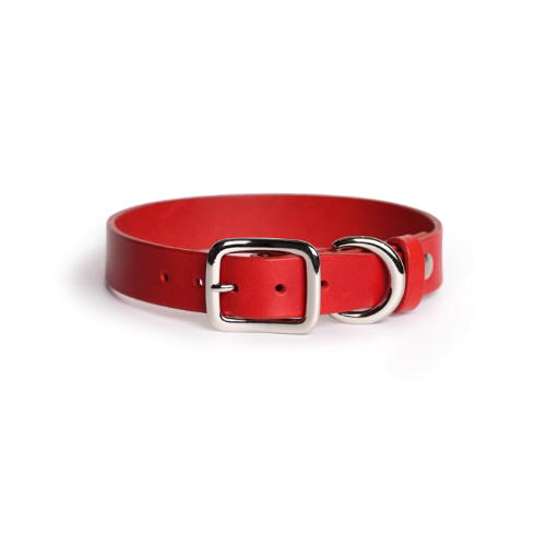 Red Smooth Calfskin Leather Dog Collar: A vibrant accessory crafted from premium Genuine Leather, ensuring both style and durability for your beloved pet.
