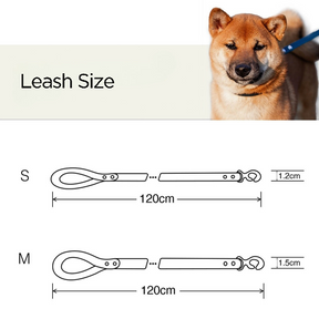 Size Options of Nappa Leather Dog Leashes (S/ M) - Perfect Fit for Your Pet