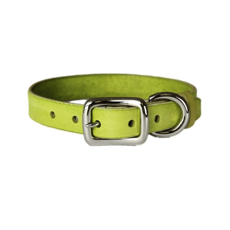 Smooth Calfskin Leather Buckle Cat Collar- Spring