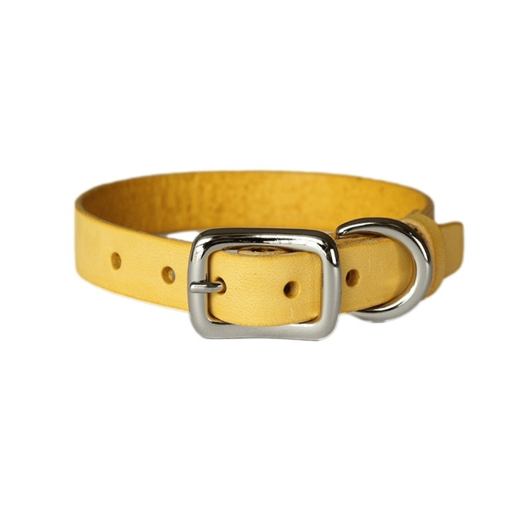 Smooth Calfskin Leather Buckle Cat Collar- Spring
