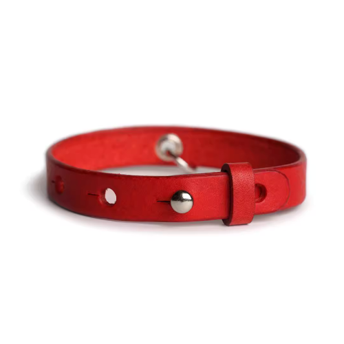 Red Bell of Gold Leather Cat Collar by petcustomi: Crafted from soft genuine leather, adjustable size, with a durable customized name tag.