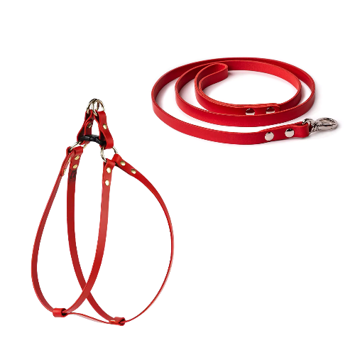 Red Tailored Nappa Leather Harness Walk Set: Make a bold statement with our vibrant red harness set, exuding confidence and style while providing your pet with comfort and security during walks.