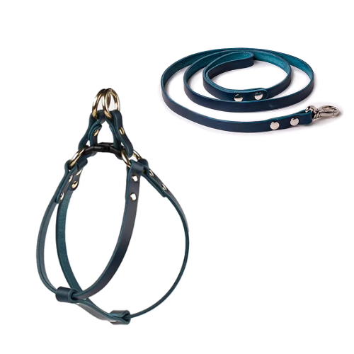 Blue Tailored Nappa Leather Harness Walk Set: Elevate your pet's style with our stunning blue harness set, meticulously crafted from premium Nappa leather for both durability and sophistication.